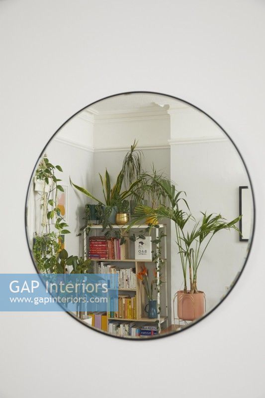 Living room corner reflected in mirror, showing colour coded bookshelves and plants.