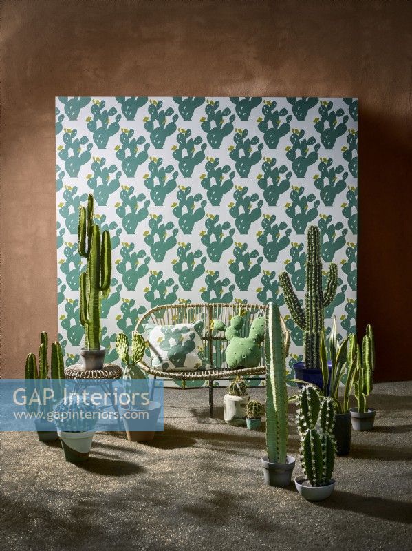 Cactus wallpaper with wicker sofa and cacti