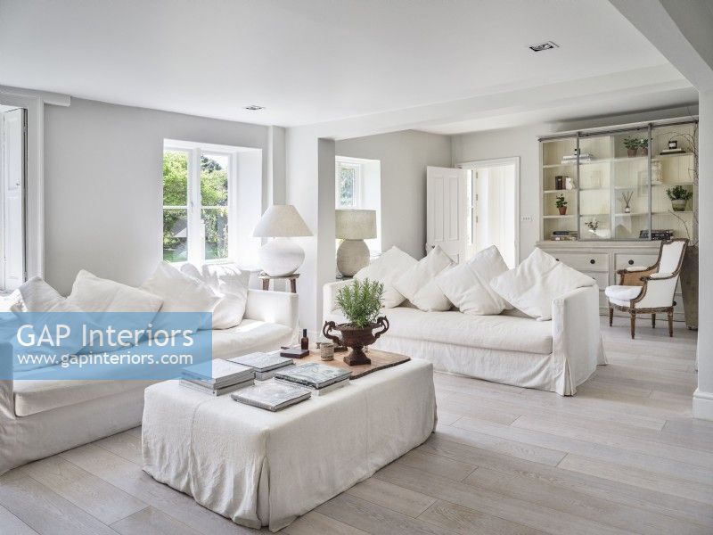 Classic white Living Room 
