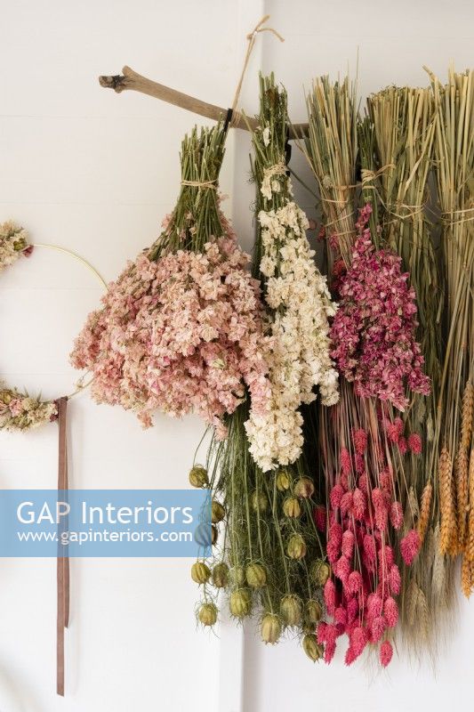 Bunches of dried flowers hanging from a suspended stick
