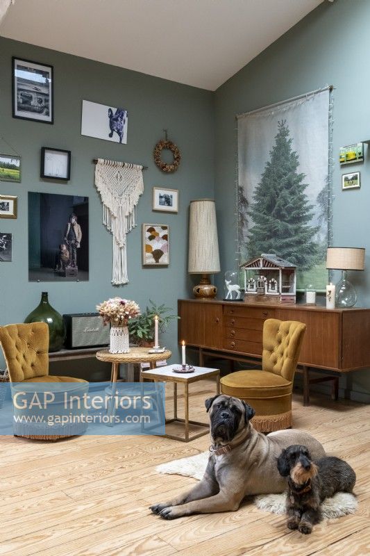 Pet dogs on rug in living room filled with vintage furniture