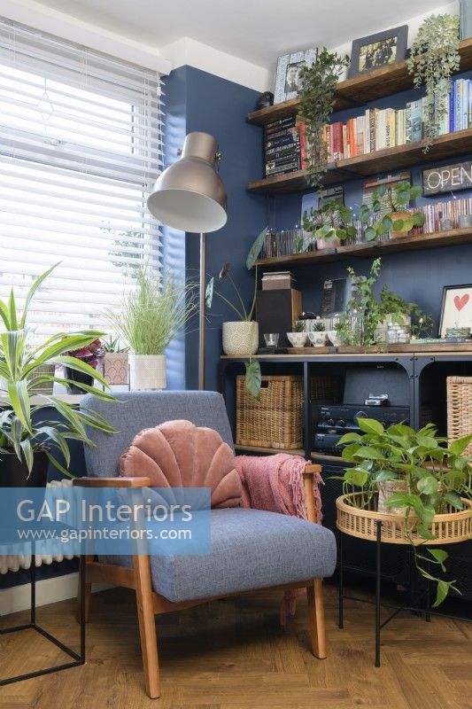 Chair and shelving in a blue living room