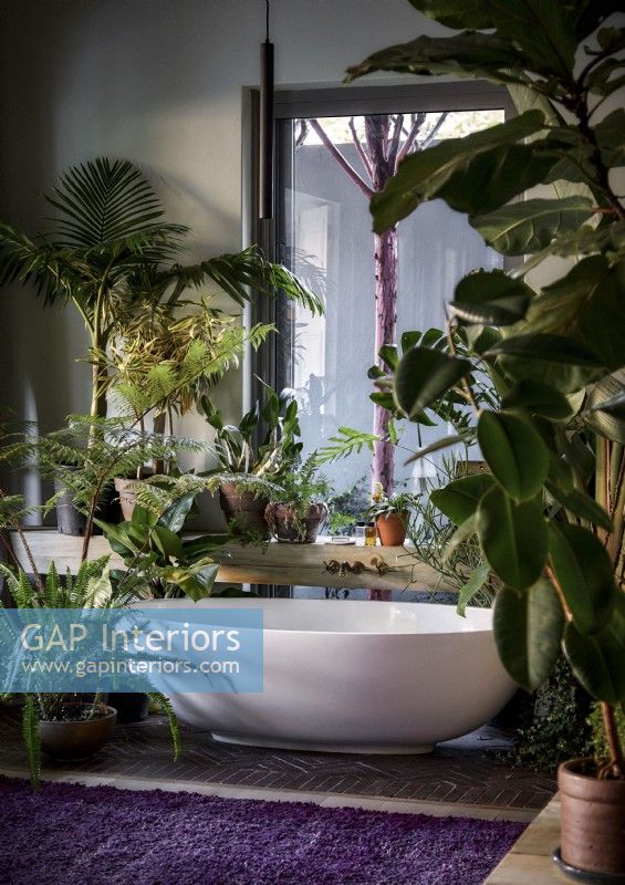 Freestanding bath in country bathroom filled with houseplants