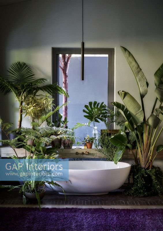 Freestanding bath surrounded by plants in country bathroom