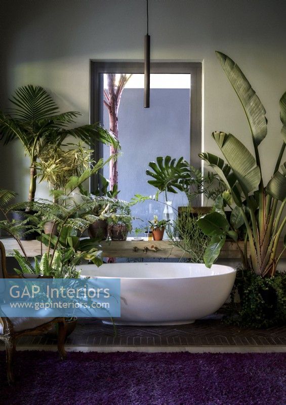 Freestanding white bath surrounded by lush houseplants