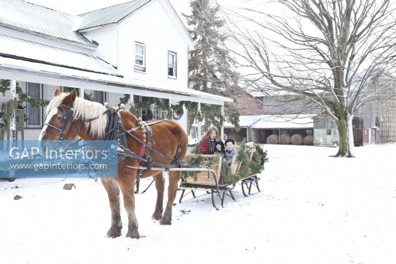 Vintage Amish farmhouse in the snow with mother and children in sleigh pulled by a Belgian horse.