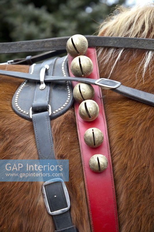 Detail of Christmas bells on horse's red leather collar
