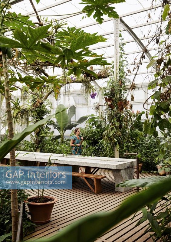 Woman in large glasshouse filled with tropical plants