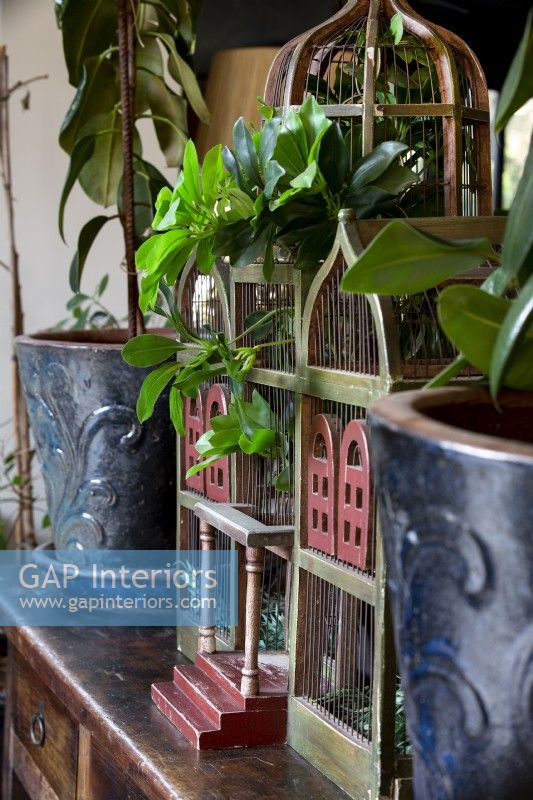 Detail of antique bird cage and planters