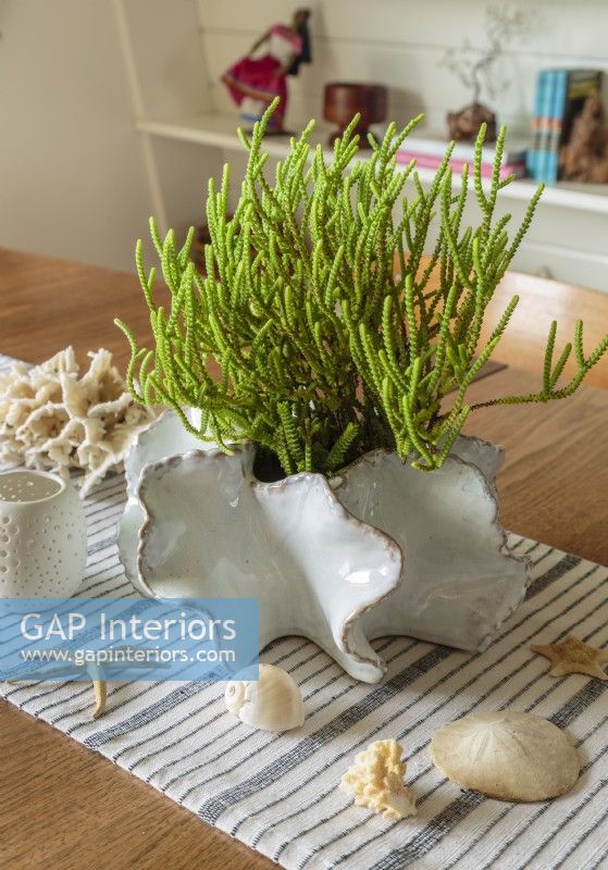 An undulating ceramic planter and shells bring the beach indoors.