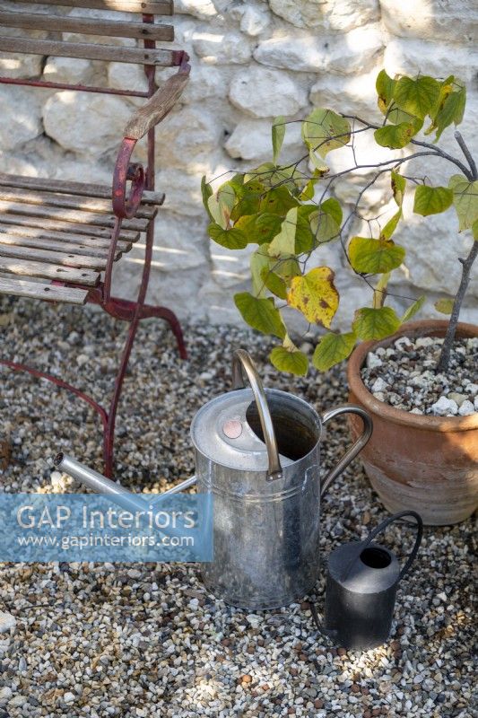 Detail of metal watering cans and potted plant next to old bench
