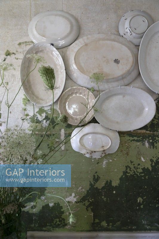 Display of white plates on distressed green painted wall 