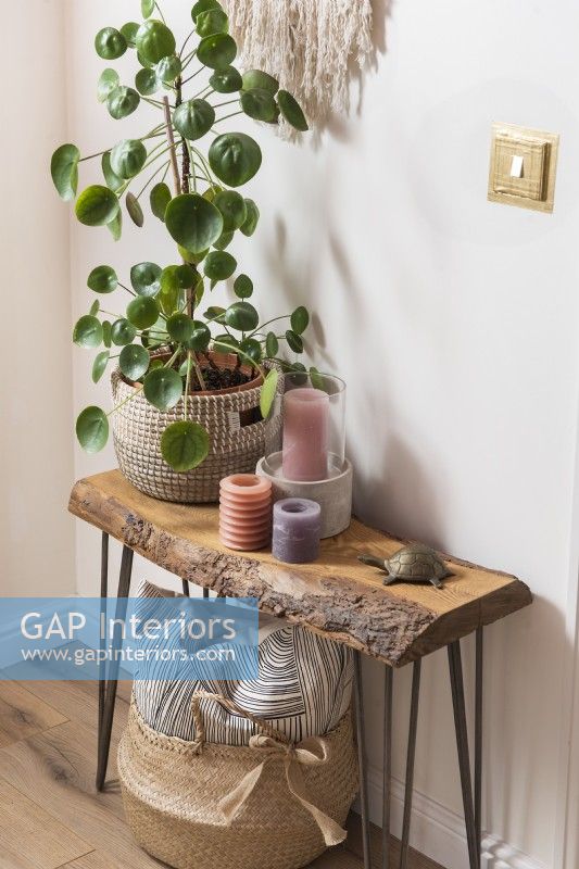Candles and large houseplant on small rustic wooden table