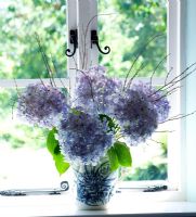 Window with floral display of blue hydrangeas in blue and white vase. 