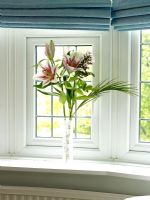 Details of vase containing lilies on window lede