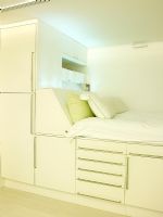 Modern built in cabin bed with storage