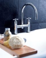 Detail of taps over roll top bath