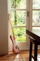 Detail of french doors in kitchen with guitar resting against wall