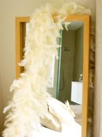 Feather boa hanging over mirror