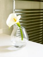 Lily in vase 