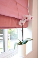 Detail of pink roman blind and orchid