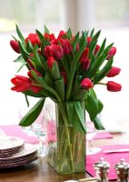 Vase of tulips
