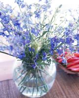 Vase of blue flowers