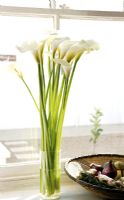 Large white lilies in glass vase, detail
