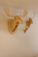 Moose head on wall