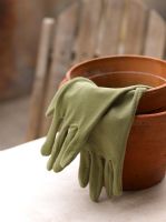 Gardening gloves in pot