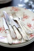 Detail of knives and forks 