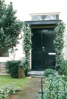 Front doorway lined with ivy