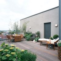 Modern roof garden