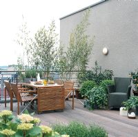 Modern roof garden 