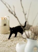 Black kitten on beige rug