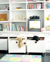 Storage in childs room with television