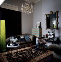 Modern elaborately decorated living room
