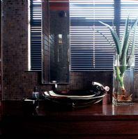 Modern bathroom with an aloe vera plant