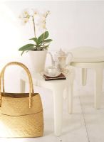 View of green plants on stool beside shopping bag