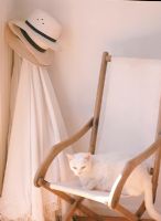 Cat laying on a folding beach chair