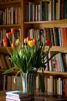 Tulips in patterned vase in front of bookshelves