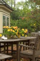 Potted plants on garden table 