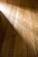 Sunlight on Hardwood Floor