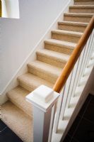 Traditional Stairway with Wood Bannister and Carpeting