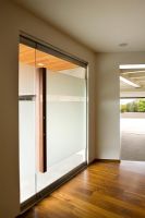 Modern Frosted Glass Door