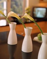 Vases with Calla lilies in a row