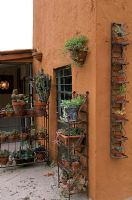 View of potted plants on shelf beside house