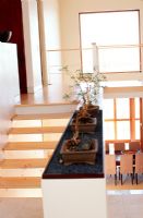Stairway with bonzai trees