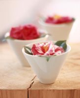 Flowers in cup, close-up