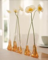 Flowers with plastic bags as vases in a row